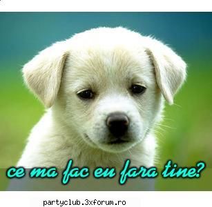 Care este clubul tau preferat !!! - hehe...muzica?...de toate...depinde de cum ma - Party & Clubbing